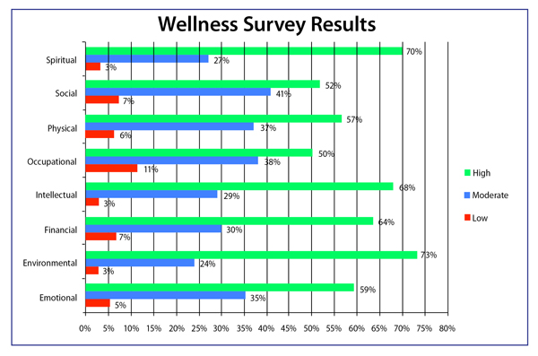 Wellness graph 2